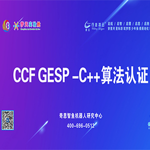 CCF编程能力等级认证GESP-C++八级